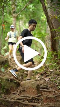 BIB:  <button type="button" onclick="openModal(27587445)" class="btn btn-primary btn-sm float-right" data-toggle="modal" data-target=".modal-high-quality">
                <i class="fa fa-download"></i> Download
                </button>